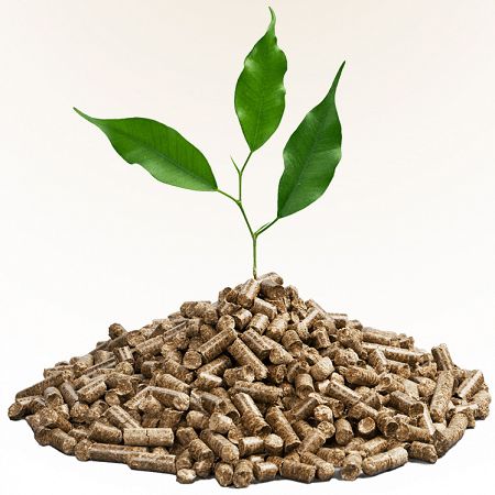 Pellet