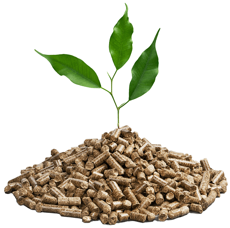 pellet - wysoka jakość